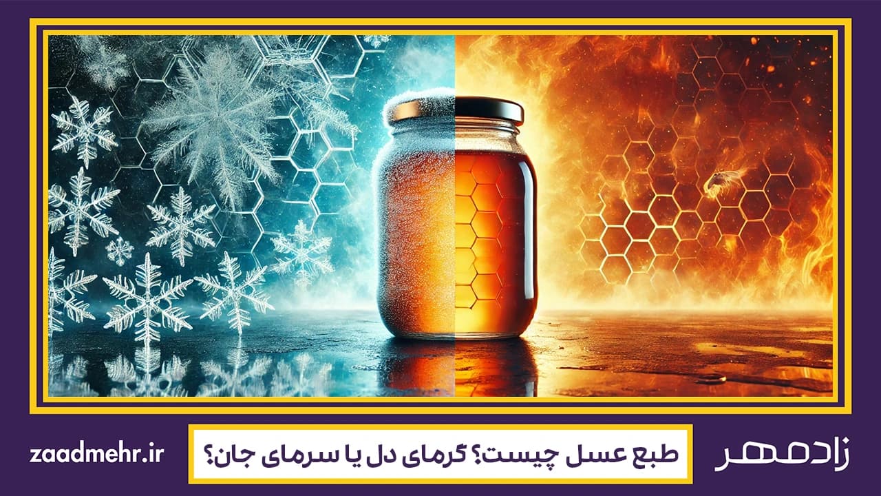 طبع عسل سرد است یا گرم؟