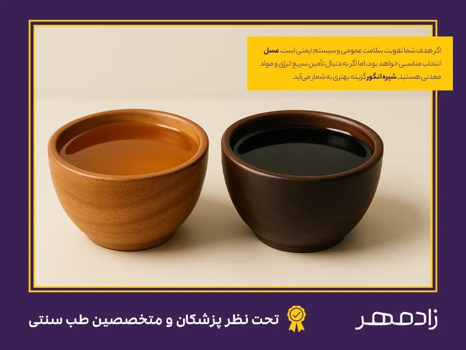 Choosing between honey and grape juice - انتخاب بین عسل و شیره انگور