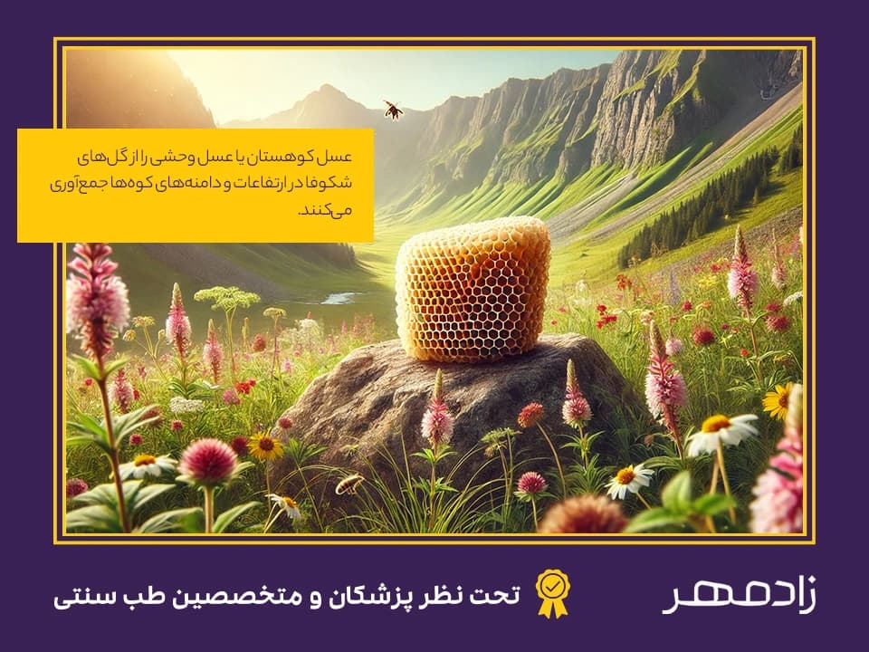 عسل کوهستان - Honey from mountain