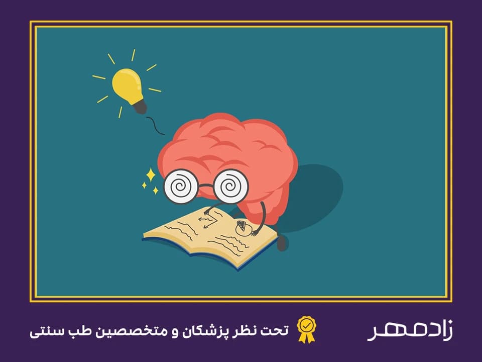 عملکرد مغز در یادگیری - Brain function in learning
