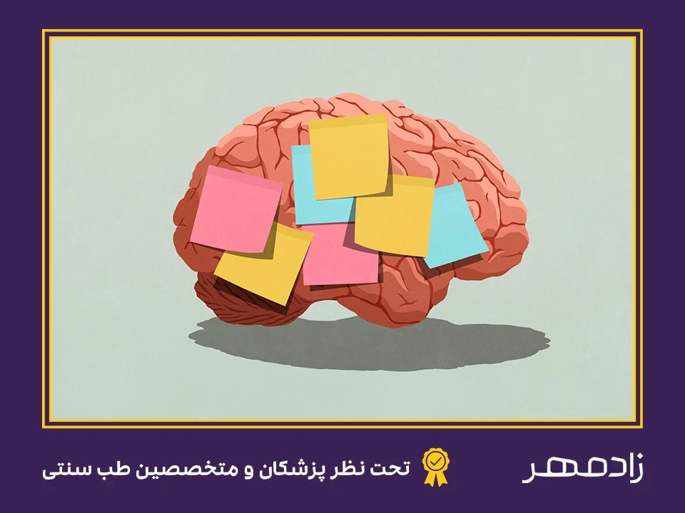 بهبود حافظه - Improve memory