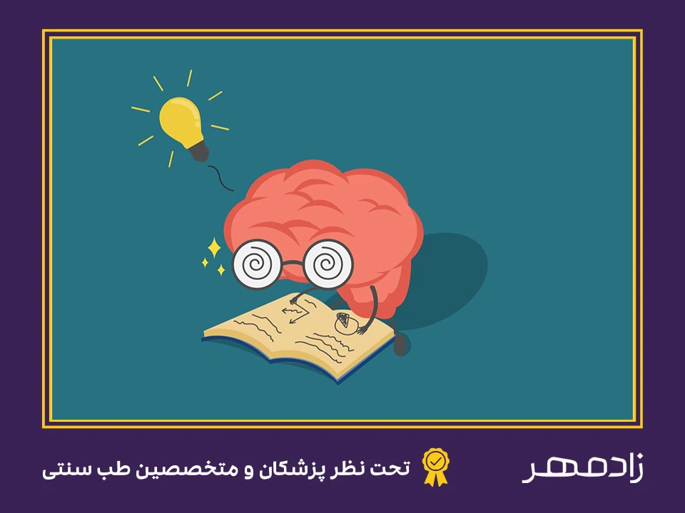 عملکرد مغز در یادگیری - Brain function in learning