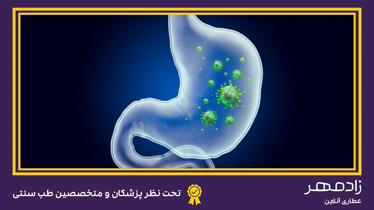 میکروب معده - stomach microbe