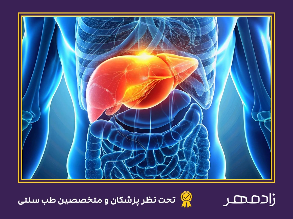 طرز تهیه شربت سکنجبین برای درمان کبد چرب - Fatty liver treatment with sekanjabin