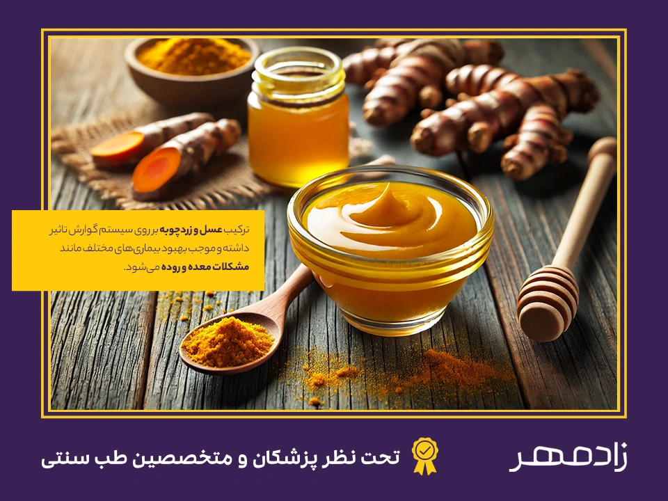 فواید استفاده از عسل و زردچوبه ناشتا و با معده خالی - Benefits of consuming turmeric and honey on an empty stomach