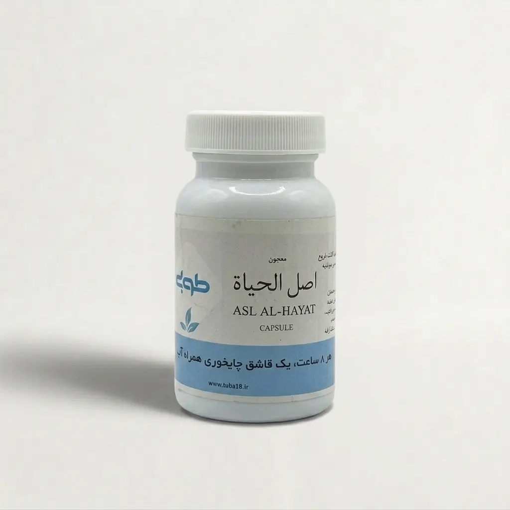 خرید معجون اصل الحیات چوب چینی (۱۰۰ گرم) (طوبی) [اصل حیات]