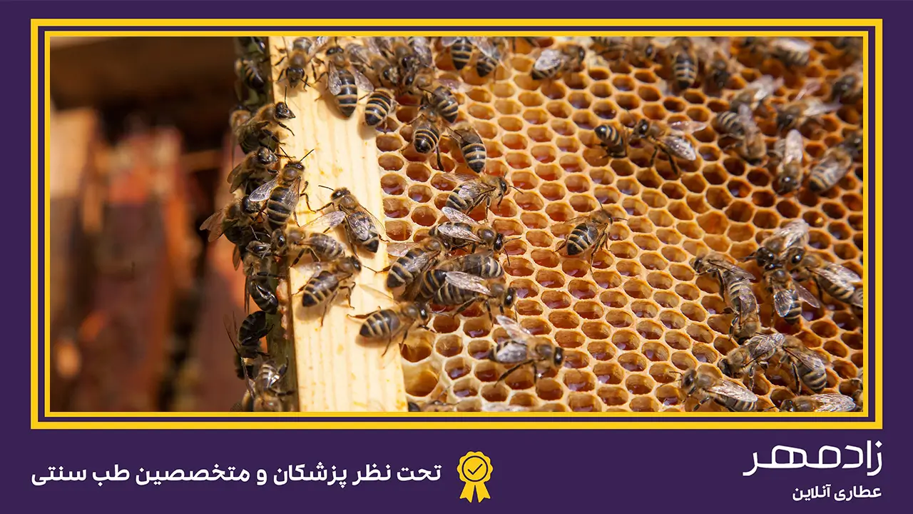 تشخیص عسل وحشی تقلبی - Detection of fake wild honey