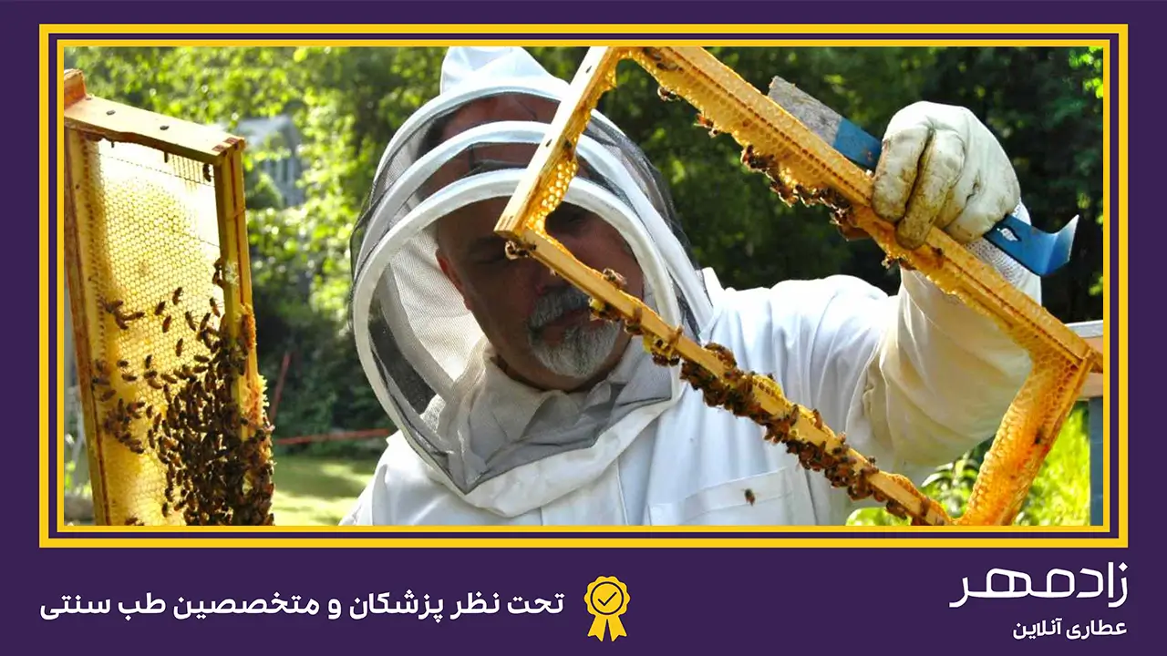 ساخت عسل طبیعی در کندو - Making natural honey in the hive