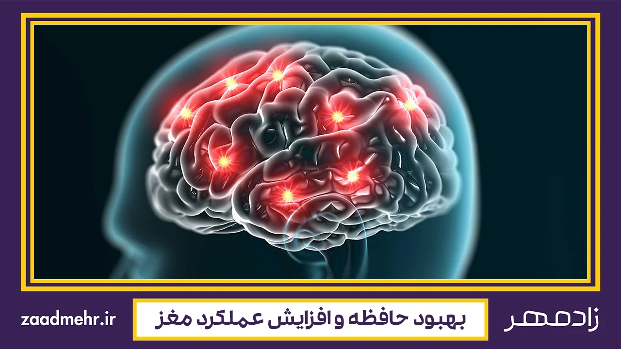 بهبود حافظه و افزایش عملکرد مغز - memory improvement