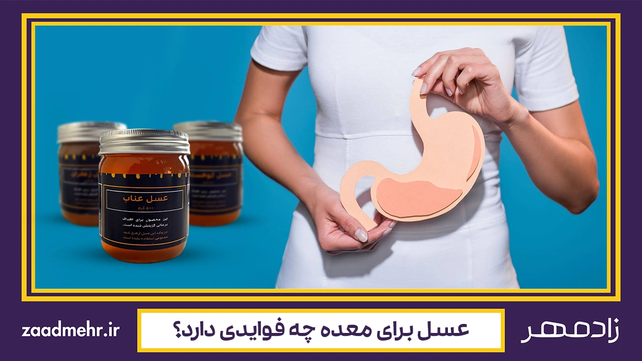 فواید عسل برای معده - Honey benefits for stomach