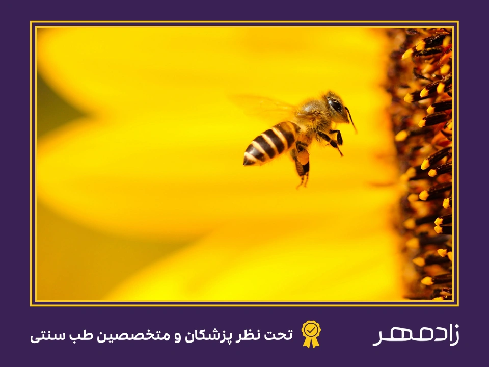 درمان نیش زنبور عسل - Honey bee sting treatment