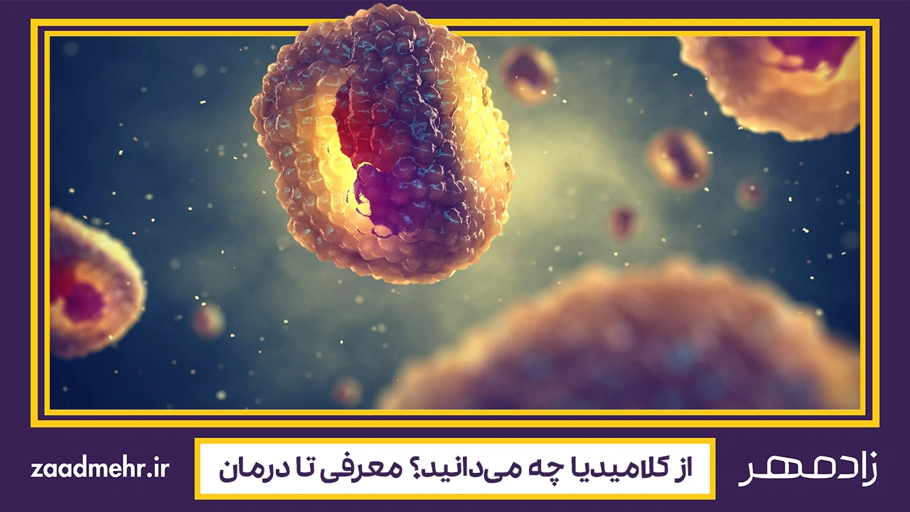 بیماری و درمان کلامیدیا - Chlamydia disease treatment