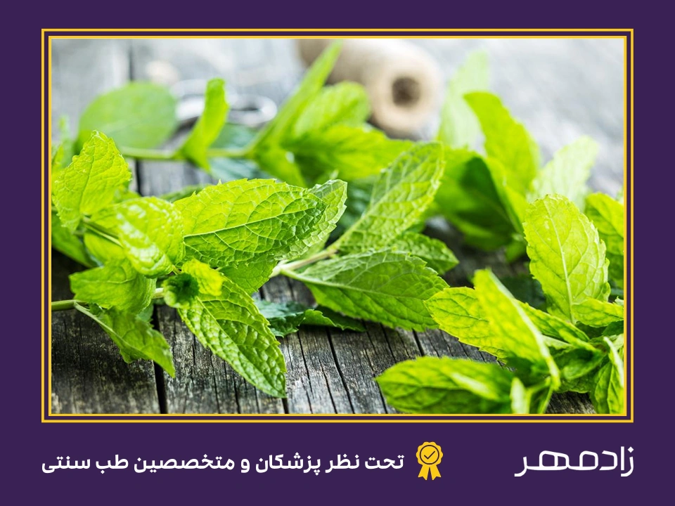 درمان سردی معده با نعنا - Mint for stomach cold treatment