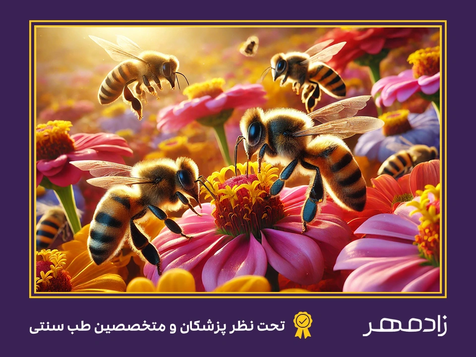 زنبورها در حال درست کردن عسل - Bees making honey