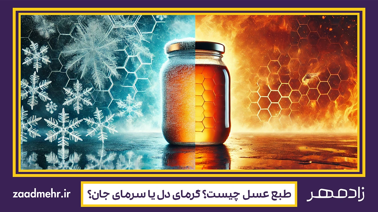 طبع عسل - Honey's Temperament